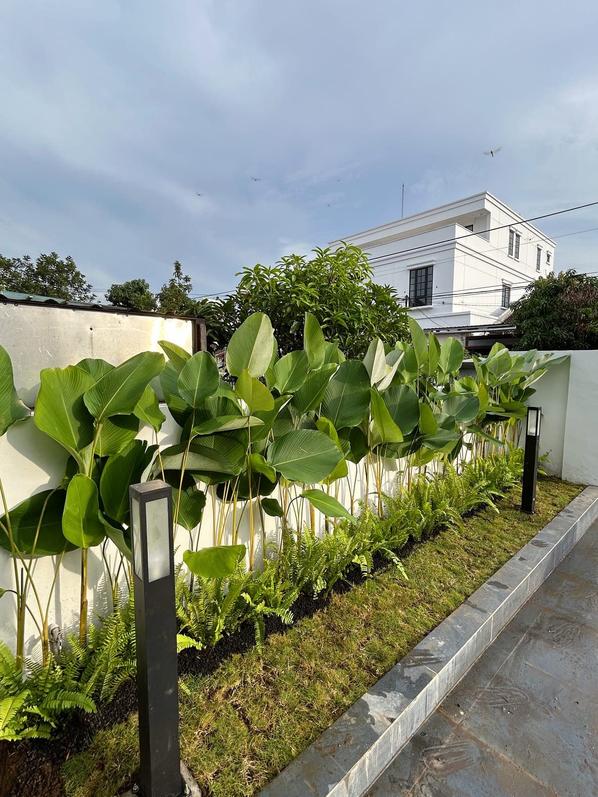 Taman di sisi bangunan dengan tanaman tropis dan lampu taman